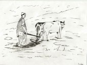 Jammu Kashmir Installs 3,601 Solar Agri Pumps Under PM