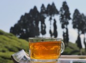 Preserve Darjeeling tea, the pride of India: Shringla in Rajya Sabha