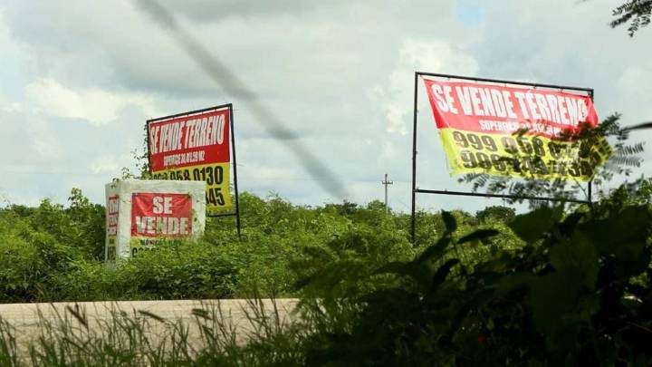 Operación despojo: dos gobernadores y un exfuncionario dicen desconocer sobre el robo de terrenos nacionales en Yucatán