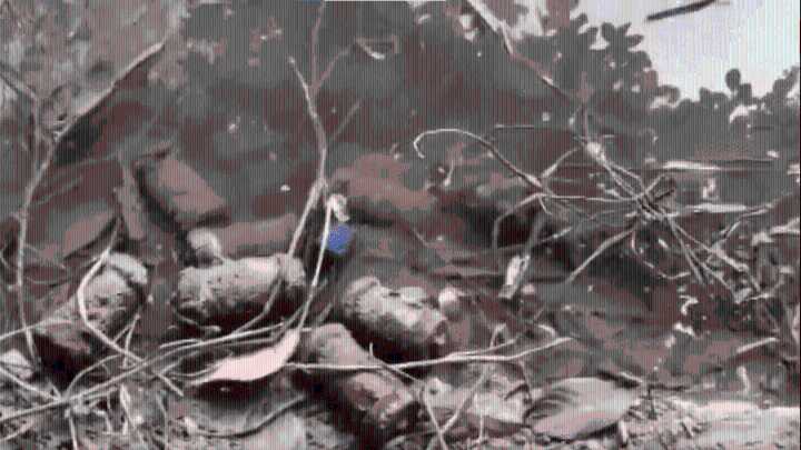 West Bengal police recover 55 socket bombs from two raids in Murshidabad