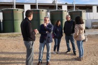 Barrachina amplía las ayudas para reforzar la bioseguridad y proteger al sector porcino