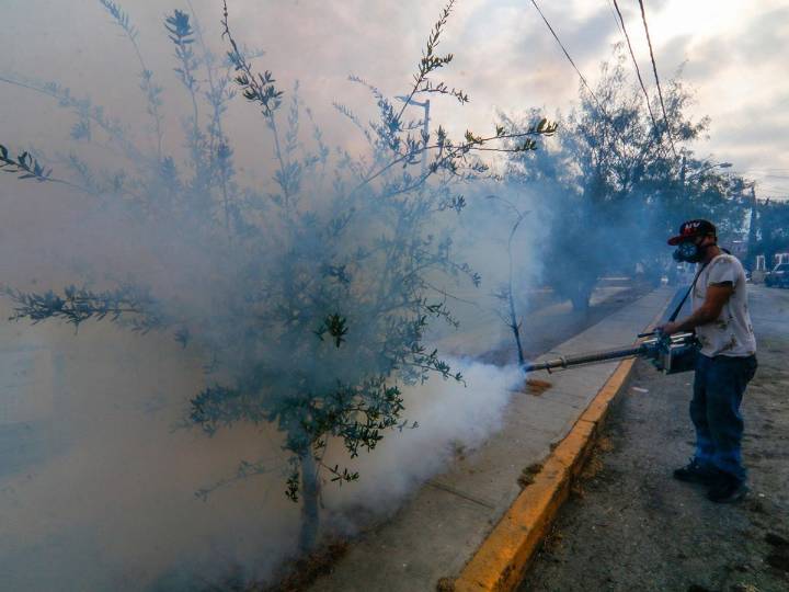 México reporta mil 54 nuevos casos de dengue