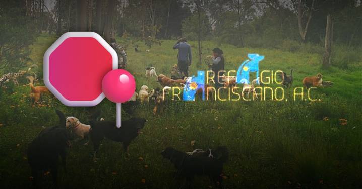 Refugio Franciscano denuncia desalojo que pone en riesgo a más de mil animales rescatados