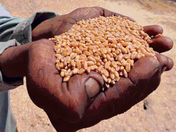 CEEW flags poor-quality protein intake among Indians