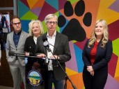 Lucas County 2026 dog licenses now on sale