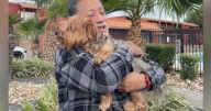 Stolen dog reunited with owner after days-long search in Corpus Christi