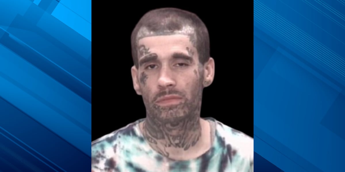 Sheriff: N.C. man stole ambulance, killed ‘innocent’ woman after collision