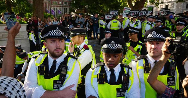 Palestine Action protesters may have been wrongly arrested