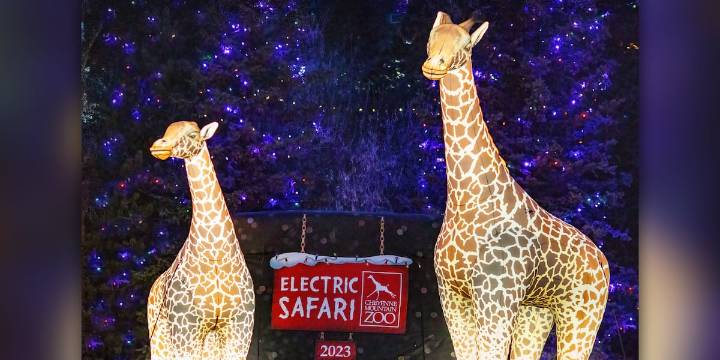 Cheyenne Mountain Zoo Electric Safari voted 2nd best zoo lights in North America