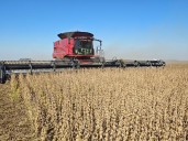 La baja de retenciones durante la gestión de Javier Milei generó una devolución aproximada de casi US$ 2.000 millones a los productores