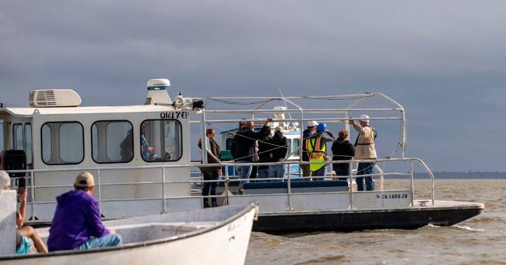 Louisiana carbon capture project may emit more than planned