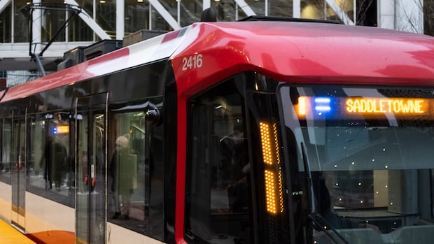 Pedestrian dies after being struck by CTrain near Calgary's Rundle Station