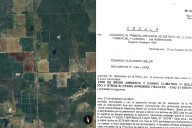 “No hice daño”. Polémica por una multa de $379 millones a un productor ganadero