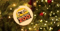 ‘Animals in a whole different light:’ Holiday Lights at the Museum returns to Salina’s Rolling Hills Zoo