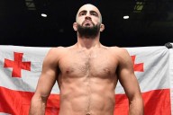 Giga Chikadze’s Ethnicity and Nationality: Georgian Fighter & Cultural Heritage