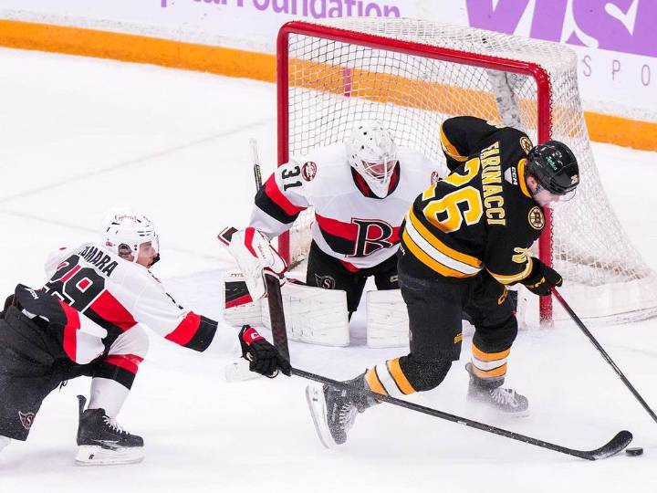 Senators rally in the third but drop weekend finale to Bruins | Grande Prairie Daily Herald Tribune