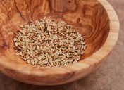 What Happens to Your Body When You Eat a Handful of Sunflower Seeds Every Day