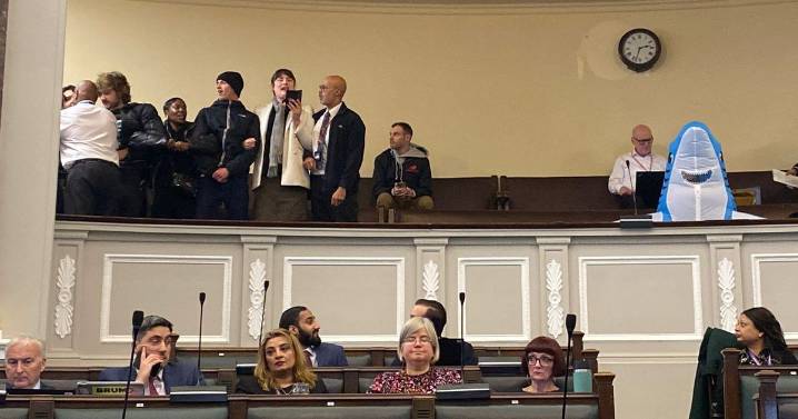 Shark suit spectator sits calmly as Birmingham City Council meeting descends into chaos