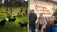 Desalojan Refugio Franciscano para Animales en Cuajimalpa, CDMX: “Llegaron y Rompieron Puertas”