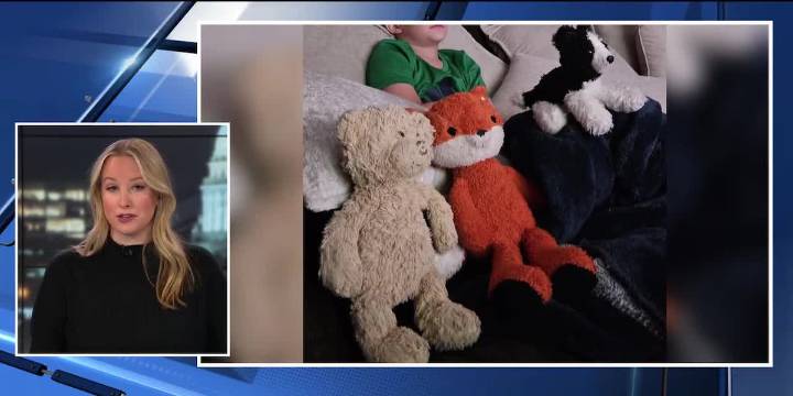 Family searching for missing children’s suitcases after Thanksgiving trip in Richland Center