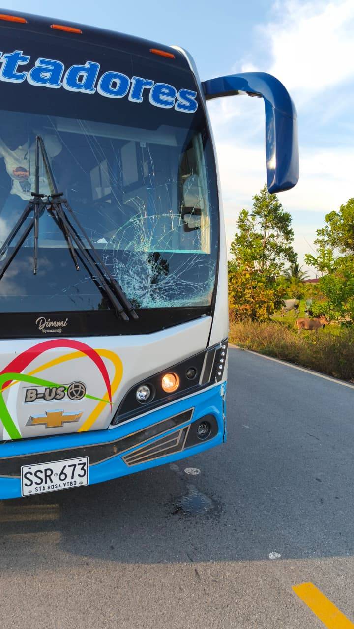 ACCIDENTES CON GANADO SUELTO EN VÍA A OROCUÉ. CONDUCTORES PIDEN A PROPIETARIOS CONTROLAR ANIMALES