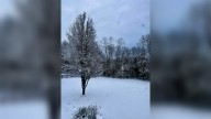 How much snow fell? Louisville experiences 5th snowiest December on record