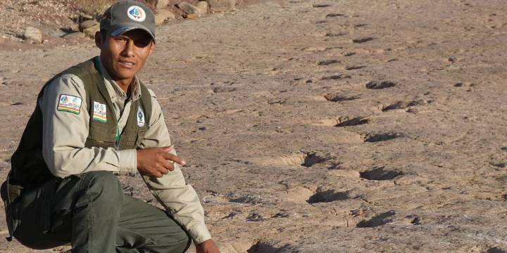 Científicos investigan la mayor concentración de huellas de dinosaurios jamás registrada