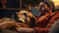Qué significa si tu perro duerme pegado a vos o encima tuyo, según veterinarios