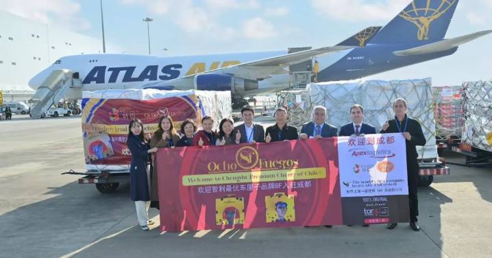 El sistema pionero que certifica la originalidad de los productos que llegó a China junto a cerezas chilenas