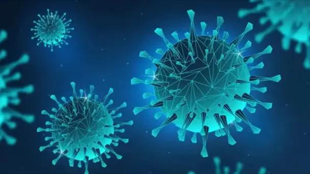 Influenza H3N2 subclado K en México: Alejandro Macías