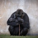 La NASA advierte: (casi) todas las imágenes de telescopios espaciales estarán contaminadas muy pronto