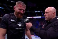 What Languages Does Jan Blachowicz Speak? Polish, German & Communication