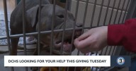 Dane County Humane Society aims to raise $140,000 on Giving Tuesday