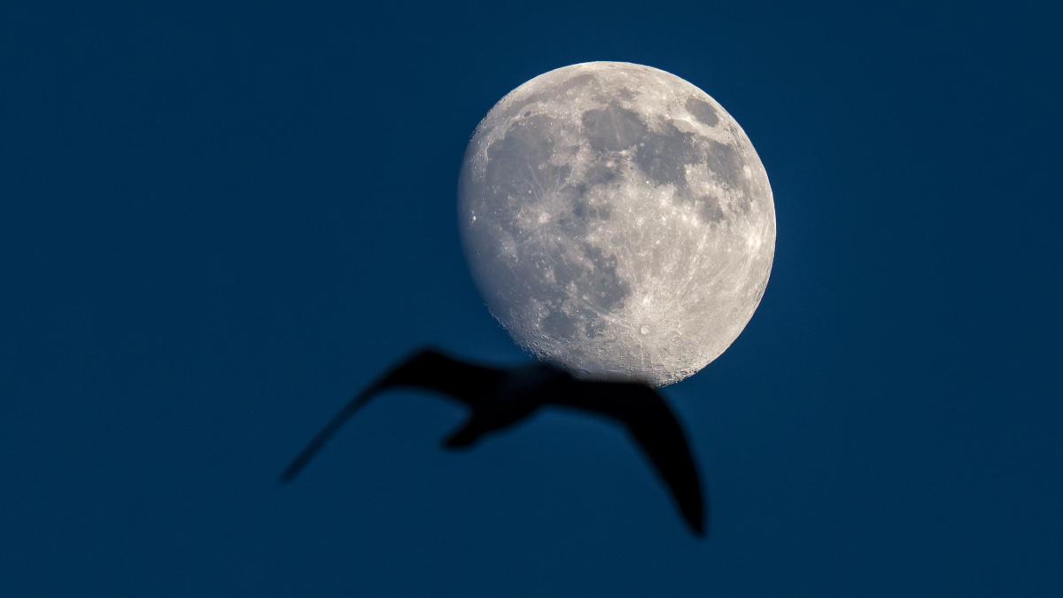 Ya está aquí la última superluna de 2025, ¿sabes por qué es excepcional?