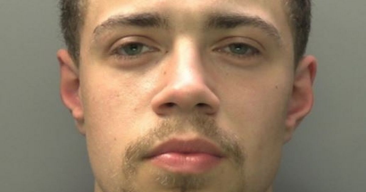 Driver raced at 120mph through Cardiff before driving at a police dog