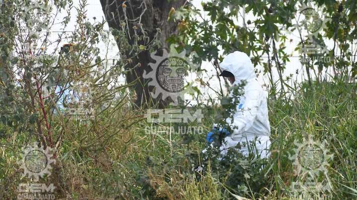 Cadáveres hallados en la colonia Juan Pablo II son de un hombre y una mujer