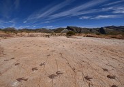 Hallan en Bolivia miles de huellas de dinosaurios que caminaron por lo que hace millones de años fue una costa