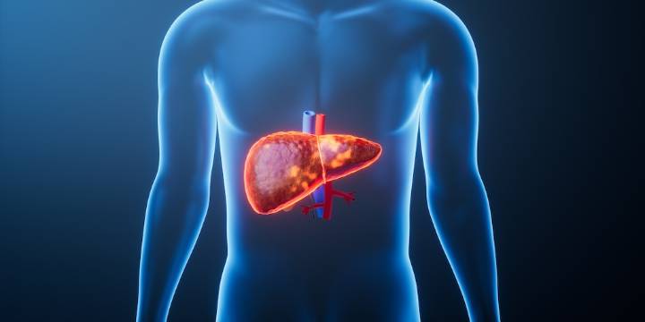 Hígado graso: por qué la prevención empieza en la adolescencia