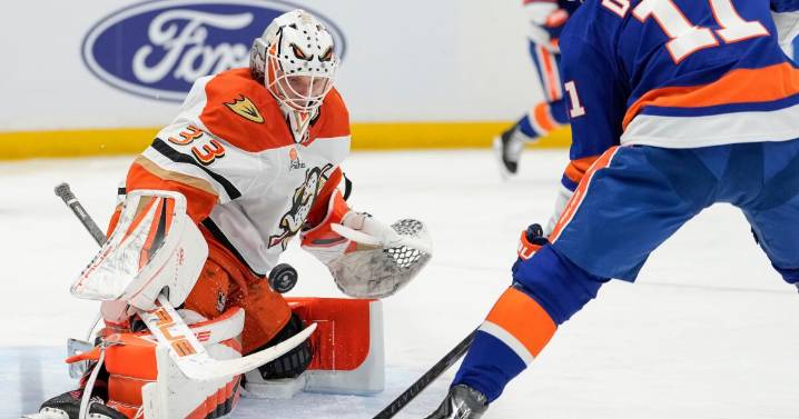 Ducks fall to Islanders as their three-game winning streak ends