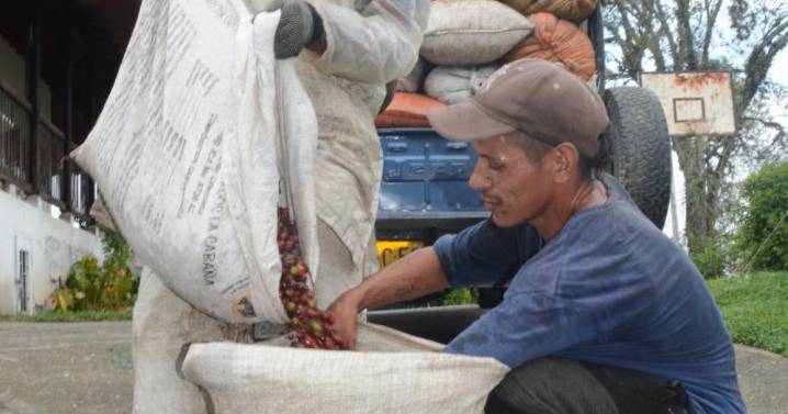 Caficultura de Colombia revisa sus desafíos para el 2050: ¿qué puede pasar en 25 años y qué retos hay?