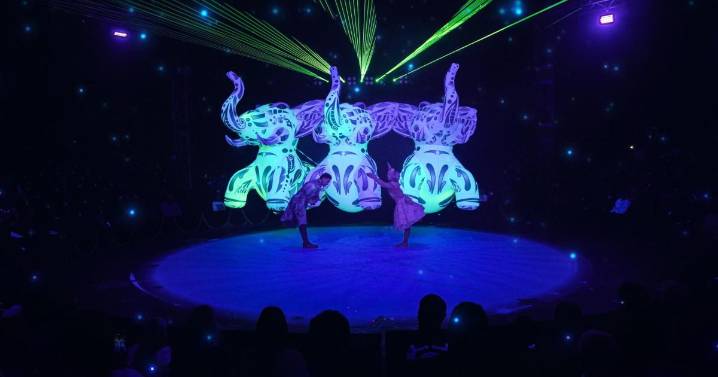 El Circo de la Luz llena Palma de magia