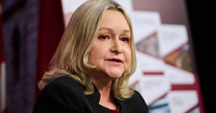 Ontario auditor’s report slams Ford government over health care