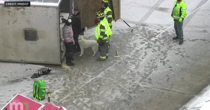 Strangers help after trailer full of sled dogs turns over on icy Minnesota highway