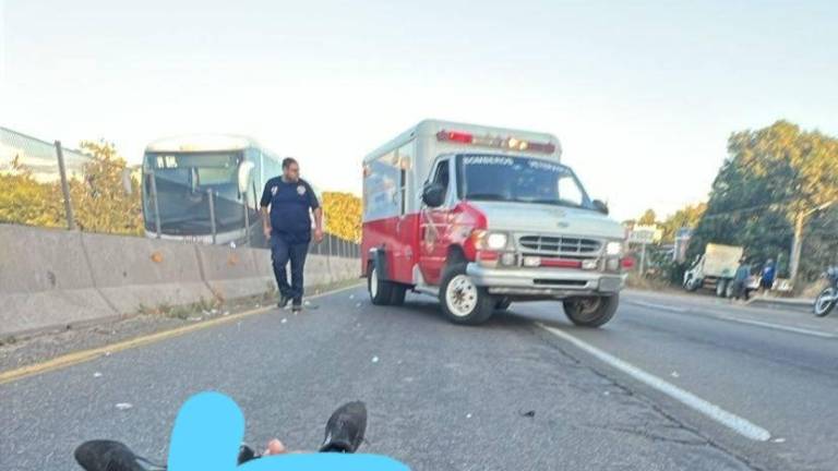 Embiste motociclista a perrito, el conductor sale lesionado y el lomito pierde la vida, en Mazatlán