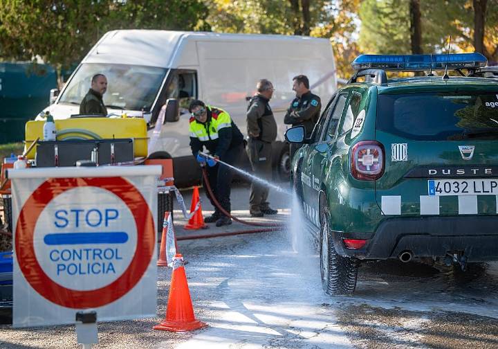 Incertidumbre en el sector del porcino ibérico tras el desplome histórico del precio del blanco