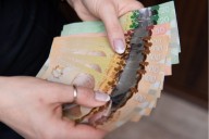 All of the benefit and credit payment dates in Canada in 2026