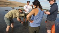 Great Salt Lake's latest species discovery gets a name fit for the lake's native history