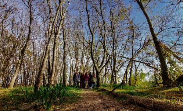 El "bosque inesperado" en Pilar que se puede visitar de noche