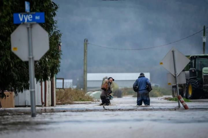 Flooding in B.C.'s Fraser Valley expected to peak Friday, with more rain on the way