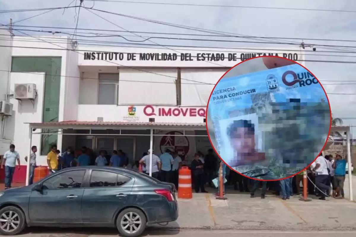 Imoveqroo descarta que licencias falsas hayan sido expedidas en Chetumal